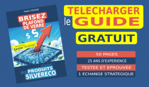 [LE GUIDE] La Méthodologie Senior Strategic pour Briser les Plafonds de Verre des Produits et Services de la Silver Economie